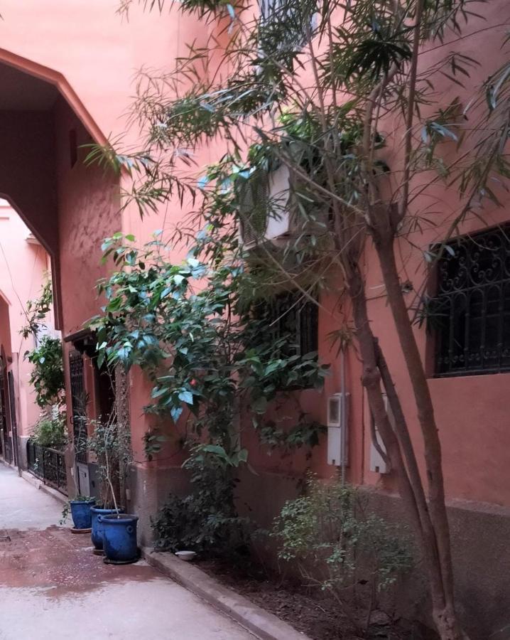 مراكش Riad Green Lotus المظهر الخارجي الصورة