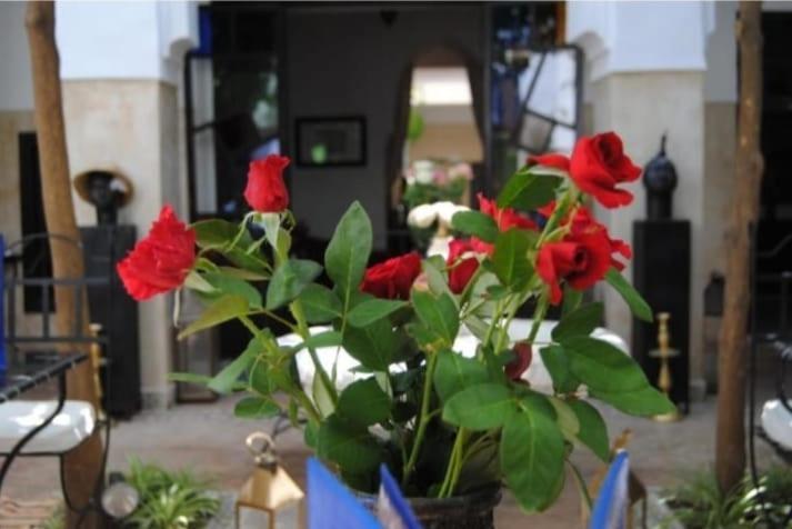 مراكش Riad Green Lotus المظهر الخارجي الصورة