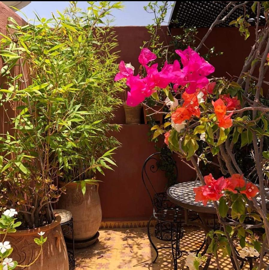 مراكش Riad Green Lotus المظهر الخارجي الصورة