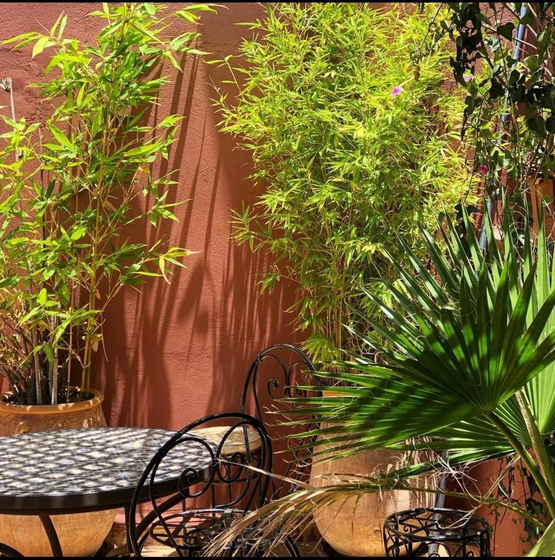 مراكش Riad Green Lotus المظهر الخارجي الصورة