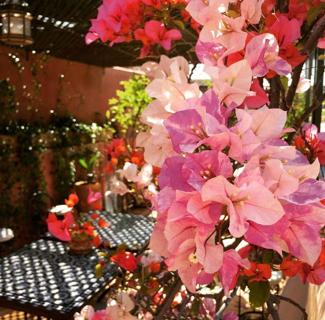 مراكش Riad Green Lotus المظهر الخارجي الصورة